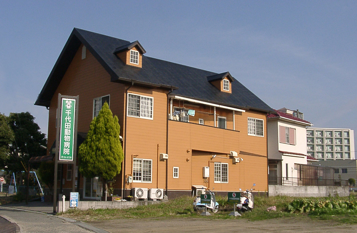 千代田動物病院