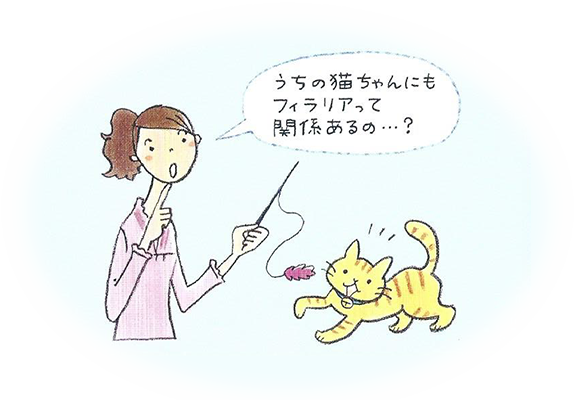 猫のフィラリア症をご存じですか？