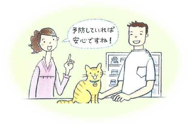 どうやってフィラリア症から猫を守るの？