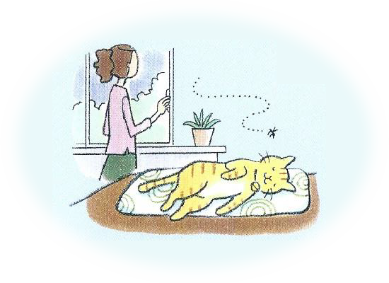 蚊の多い日本では、室内飼育、室外飼育を問わず、猫は常に危険にさらされています。