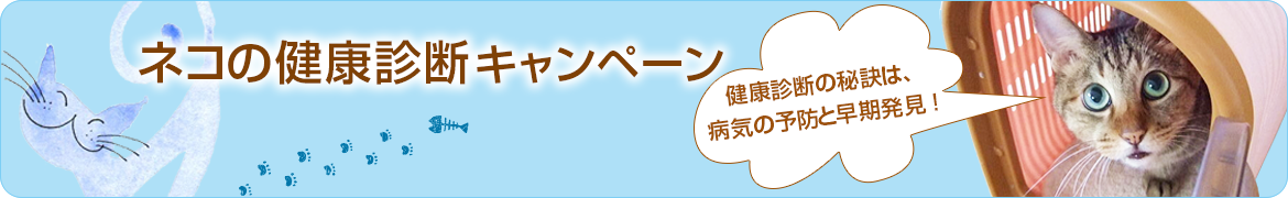 ネコの健康診断キャンペーン