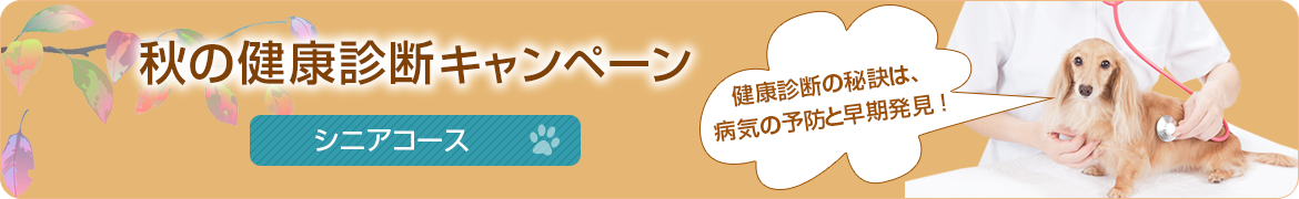 秋の健康診断キャンペーン　シニアコース