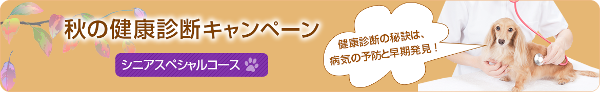 秋の健康診断キャンペーン　シニアスペシャルコース