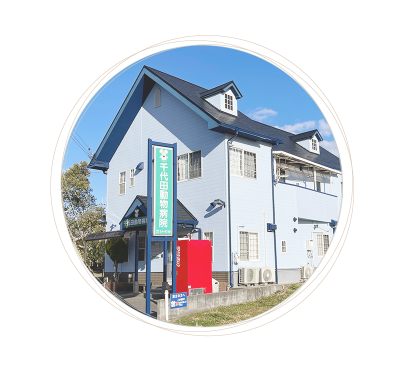 診療時間・アクセス