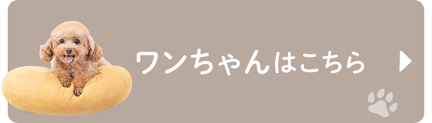 ワンちゃんはこちら