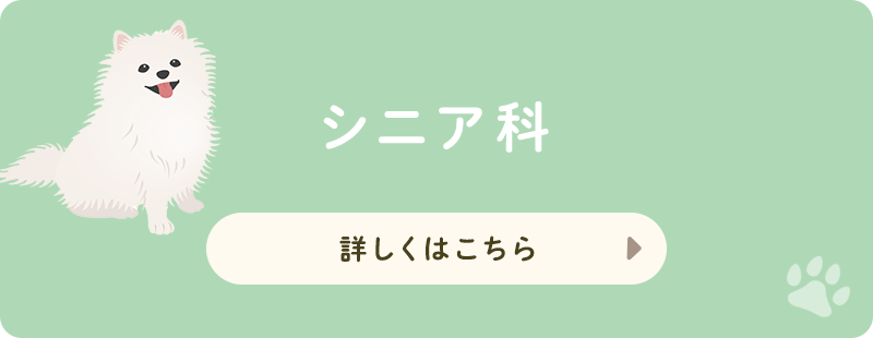 シニア科