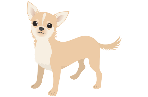 小動物・その他の動物の注意