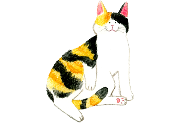 ネコちゃんの注意