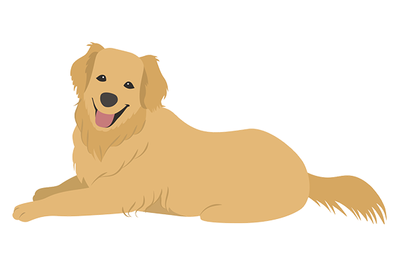 大型犬