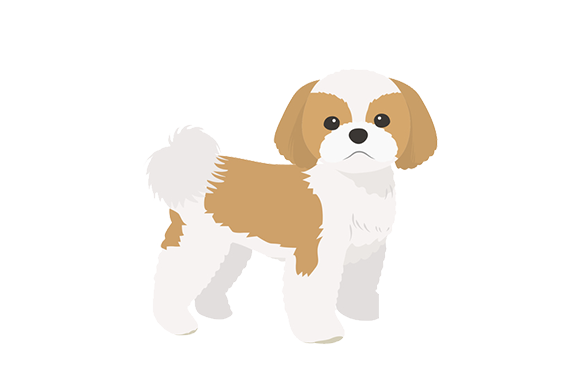 小・中型犬