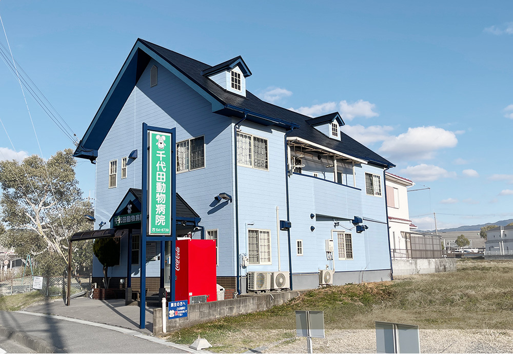 千代田動物病院