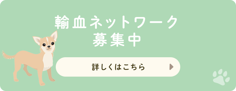 輸血ネットワーク募集中